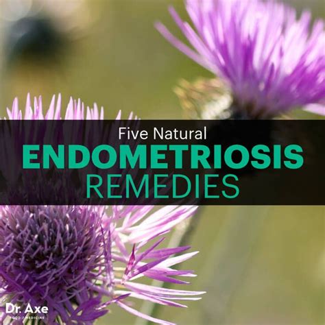 endometriosis natural treatment dr axe